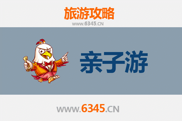 伊犁新源亲子游全攻略：草原花海与民俗体验的完美之旅